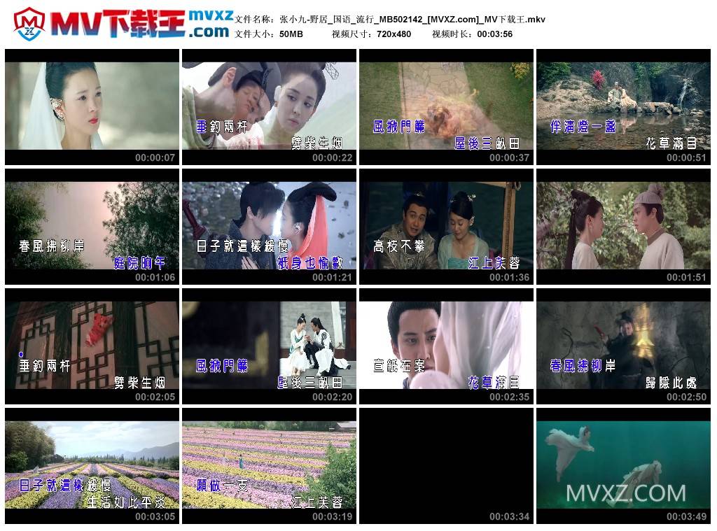 张小九-野居_国语_流行_MB502142